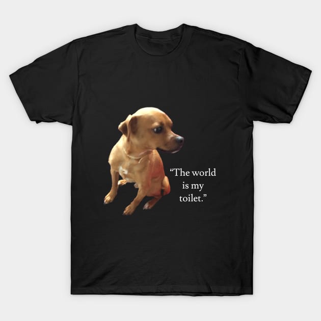 Dog peeing in toilet top